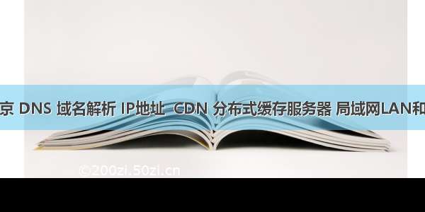 /1/30 北京 DNS 域名解析 IP地址  CDN 分布式缓存服务器 局域网LAN和路由转发