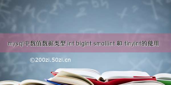 mysql中数值数据类型 int bigint smallint 和 tinyint的使用