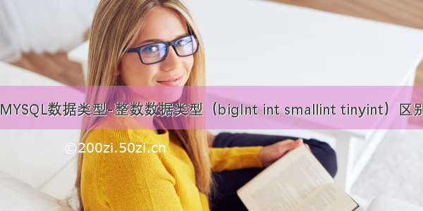 MYSQL数据类型-整数数据类型（bigInt int smallint tinyint）区别