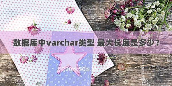 数据库中varchar类型 最大长度是多少？