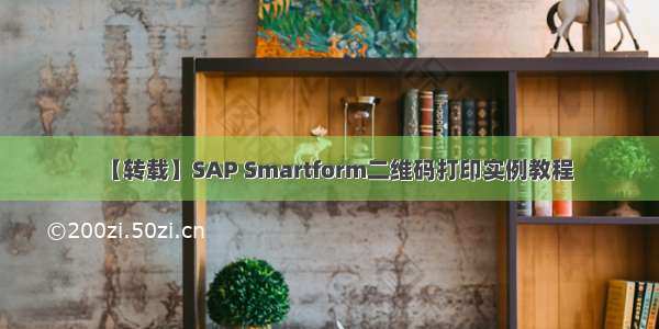 【转载】SAP Smartform二维码打印实例教程