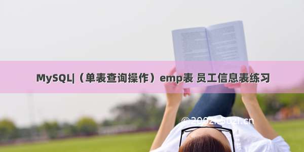 MySQL|（单表查询操作）emp表 员工信息表练习