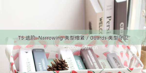 TS 进阶: Narrowing 类型缩紧 / Guards 类型守卫