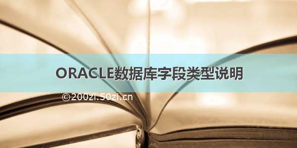 ORACLE数据库字段类型说明