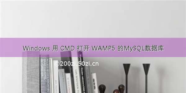 Windows 用 CMD 打开 WAMP5 的MySQL数据库