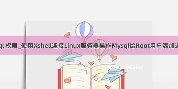 xshell mysql 权限_使用Xshell连接Linux服务器操作Mysql给Root用户添加远程访问权限