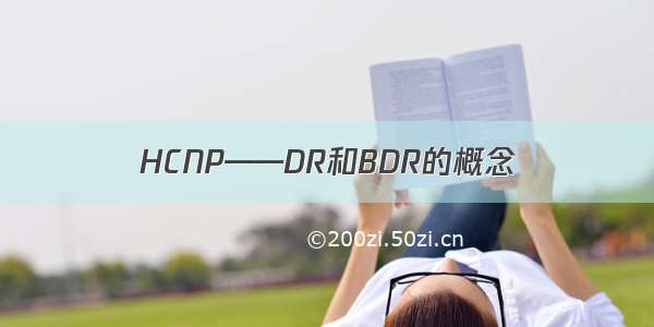 HCNP——DR和BDR的概念