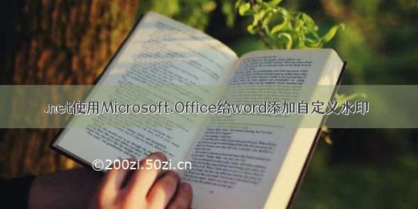 .net使用Microsoft.Office给word添加自定义水印