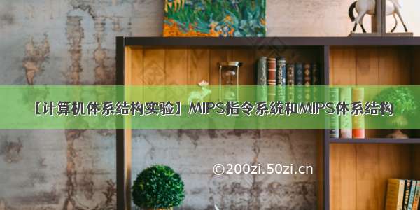 【计算机体系结构实验】MIPS指令系统和MIPS体系结构