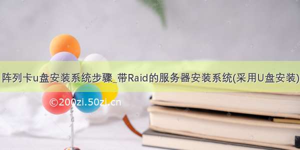 阵列卡u盘安装系统步骤_带Raid的服务器安装系统(采用U盘安装)