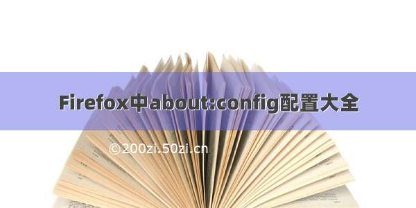 Firefox中about:config配置大全