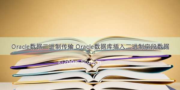 Oracle数据二进制传输 Oracle数据库插入二进制字段数据