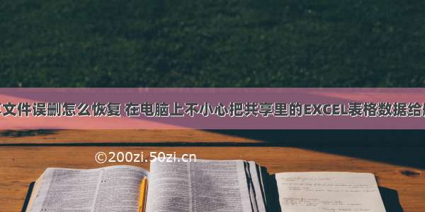 计算机共享文件误删怎么恢复 在电脑上不小心把共享里的EXCEL表格数据给删除了 该怎