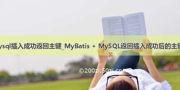 mysql插入成功返回主键_MyBatis + MySQL返回插入成功后的主键id