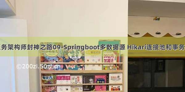 微服务架构师封神之路09-Springboot多数据源 Hikari连接池和事务配置