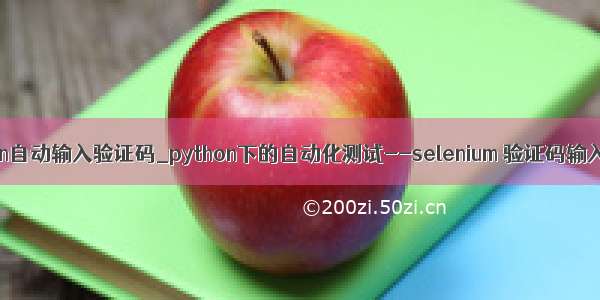 python自动输入验证码_python下的自动化测试--selenium 验证码输入问题