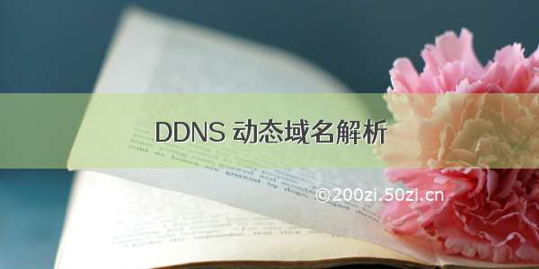 DDNS 动态域名解析