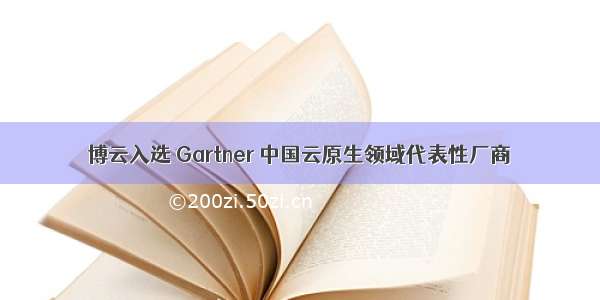 博云入选 Gartner 中国云原生领域代表性厂商