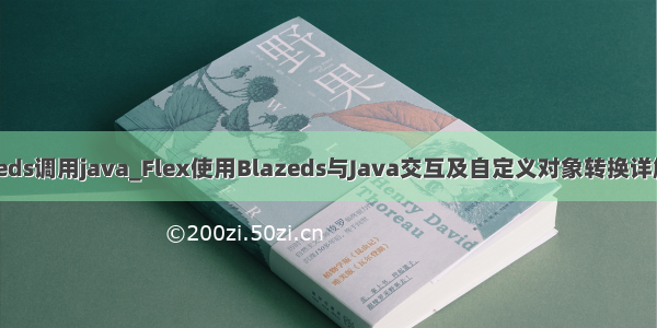 blazeds调用java_Flex使用Blazeds与Java交互及自定义对象转换详解(转)