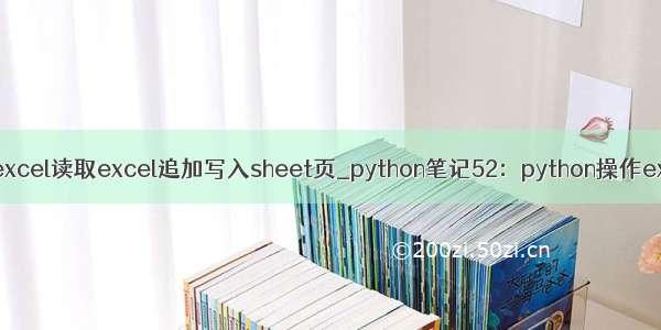 fastexcel读取excel追加写入sheet页_python笔记52：python操作excel