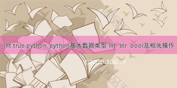 int true python_python基本数据类型 int  str  bool及相关操作