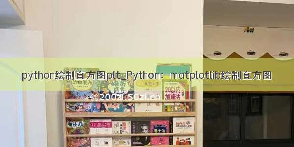 python绘制直方图plt_Python：matplotlib绘制直方图