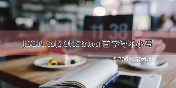 JSON.toJSONString 首字母不小写