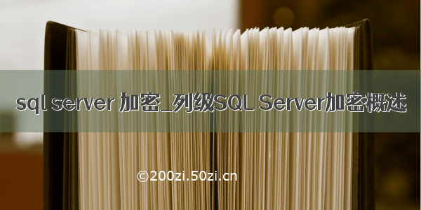 sql server 加密_列级SQL Server加密概述