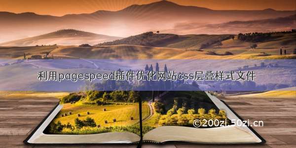 利用pagespeed插件优化网站css层叠样式文件