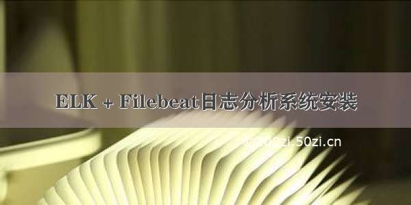 ELK + Filebeat日志分析系统安装