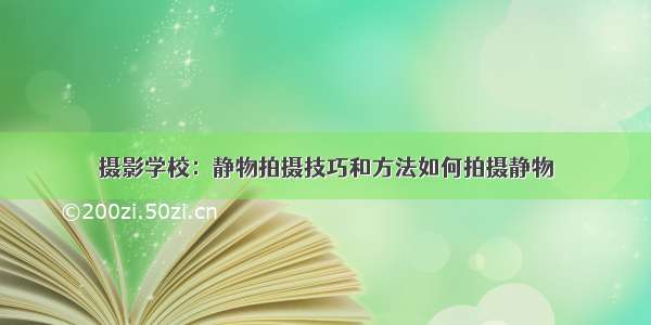 摄影学校：静物拍摄技巧和方法如何拍摄静物