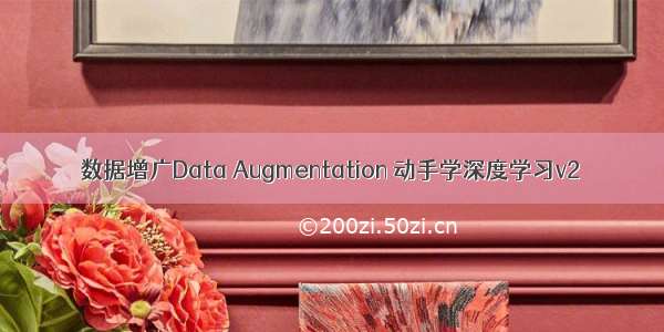 数据增广Data Augmentation 动手学深度学习v2