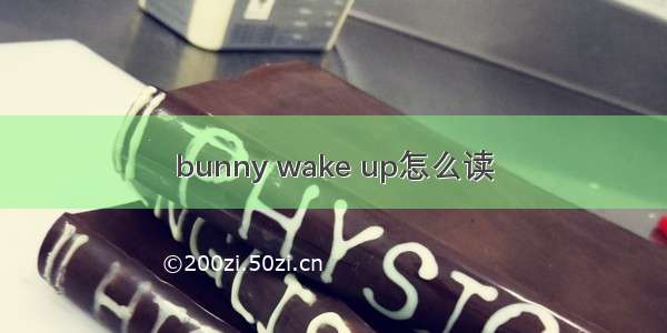 bunny wake up怎么读