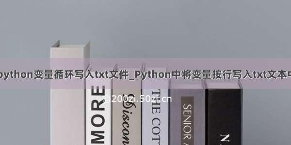 python变量循环写入txt文件_Python中将变量按行写入txt文本中