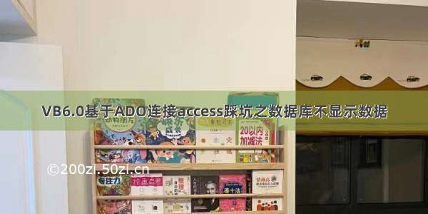 VB6.0基于ADO连接access踩坑之数据库不显示数据