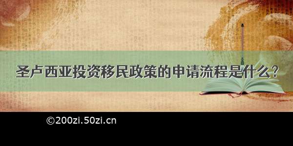 圣卢西亚投资移民政策的申请流程是什么？