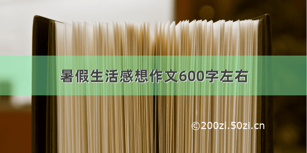 暑假生活感想作文600字左右