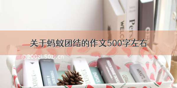 关于蚂蚁团结的作文500字左右