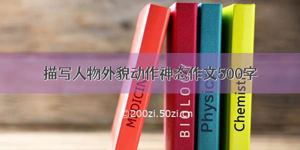 描写人物外貌动作神态作文500字