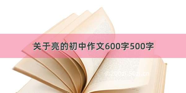 关于亮的初中作文600字500字