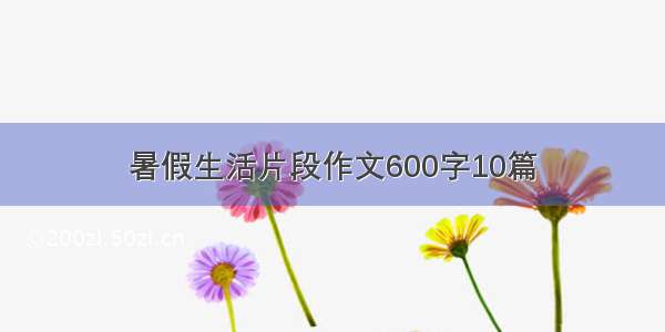 暑假生活片段作文600字10篇