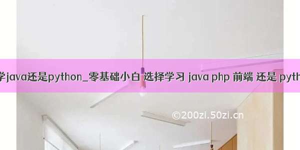 前端学java还是python_零基础小白 选择学习 java php 前端 还是 python？