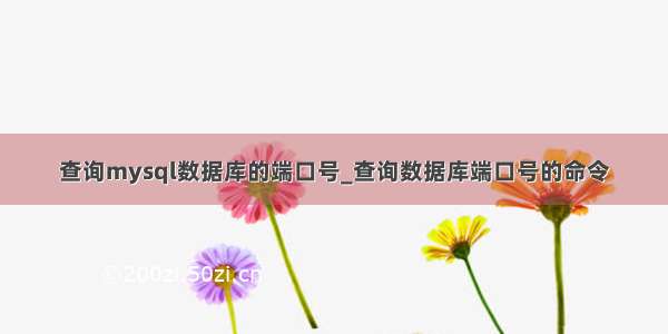 查询mysql数据库的端口号_查询数据库端口号的命令