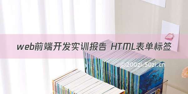 web前端开发实训报告 HTML表单标签