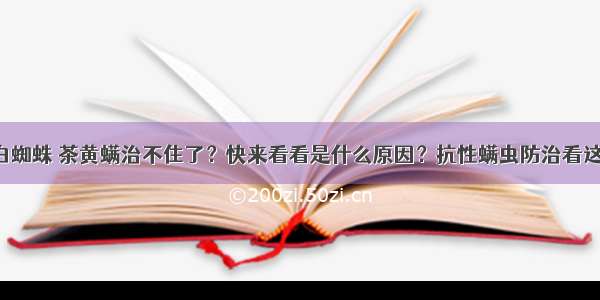 红白蜘蛛 茶黄螨治不住了？快来看看是什么原因？抗性螨虫防治看这里！