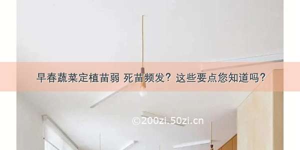 早春蔬菜定植苗弱 死苗频发？这些要点您知道吗？