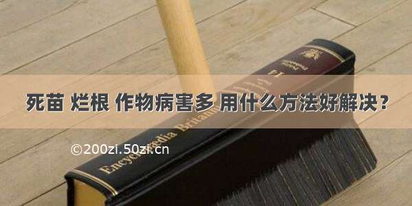 死苗 烂根 作物病害多 用什么方法好解决？