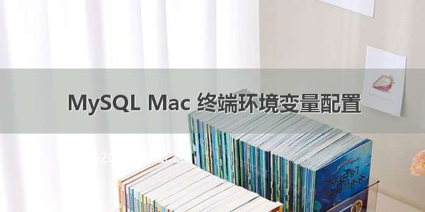 MySQL Mac 终端环境变量配置