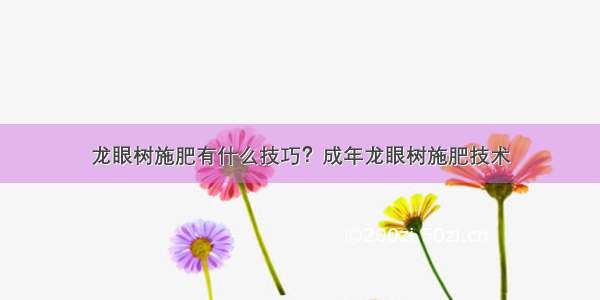 龙眼树施肥有什么技巧？成年龙眼树施肥技术