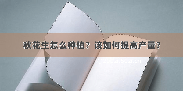 秋花生怎么种植？该如何提高产量？